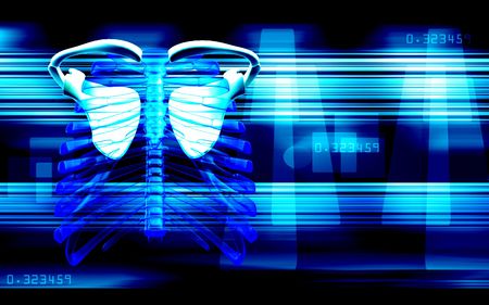 Digital illustration of collar bone in color backgroundの写真素材