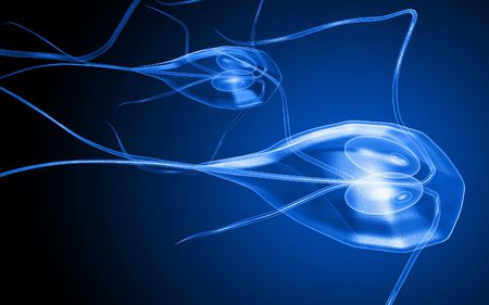 Digital illustration of a flagella bacterium in colour background	の写真素材