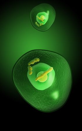 Digital illustration of  human cell   in colour  background 	の写真素材