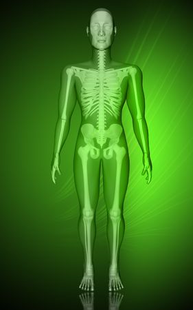 Digital illustration of  human body in colour  background 	の写真素材