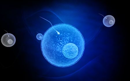 Digital illustration of  Ovum cell in colour  background	の写真素材