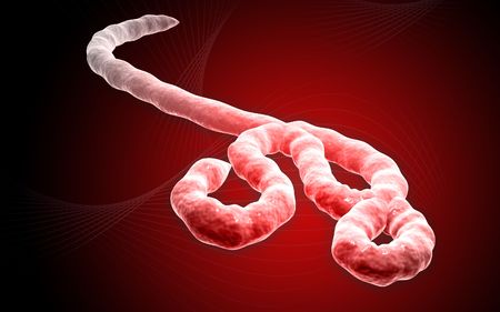 Digital illustration of Ebola virus in   colour background  	の写真素材