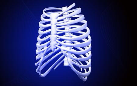 Digital illustration of  rib cage  in colour  background	の写真素材