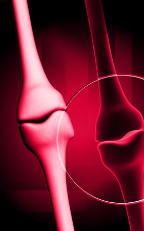 Digital illustration  of bone in   colour background  	の写真素材