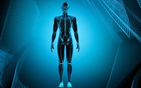 Digital illustration of  human body in colour  background 	の写真素材