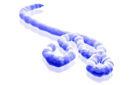 Digital illustration of Ebola virus in   colour background  	の写真素材