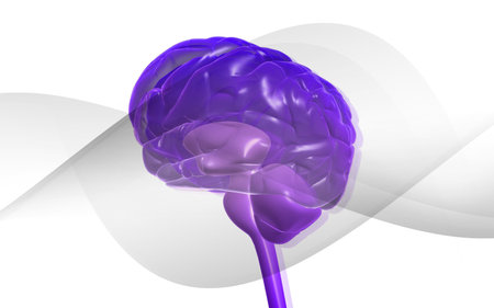 Digital illustration of  brain in isolated  background 	
