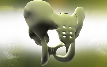 Digital illustration  of pelvic girdle in    isolated background  	の写真素材