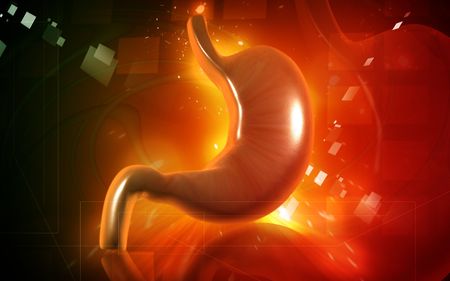 Digital illustration of  stomach  in colour  background 	の写真素材