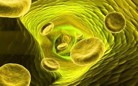 Digital illustration of  blood cell  in colour  background 	の写真素材
