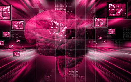 Digital illustration of  brain in colour  background 	