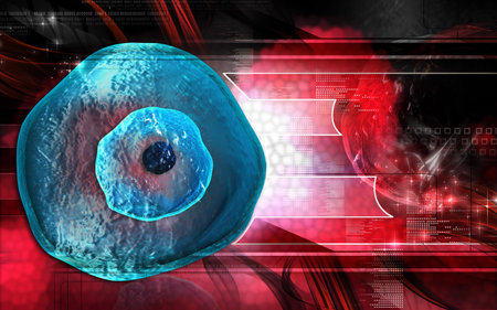 Digital illustration of  Ovum cell in colour  background	