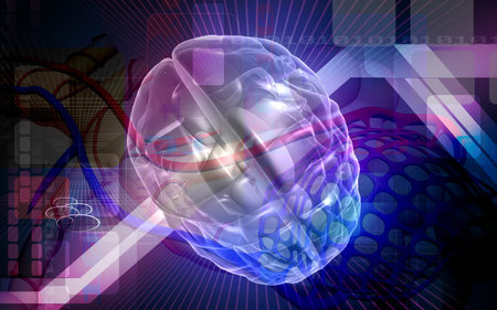 Digital illustration of  brain in colour  background 	