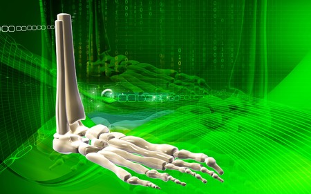 Digital illustration of  Leg bone  in colour background 	の写真素材