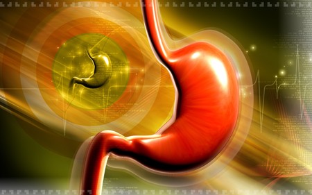 Digital illustration of  stomach  in colour  background の写真素材