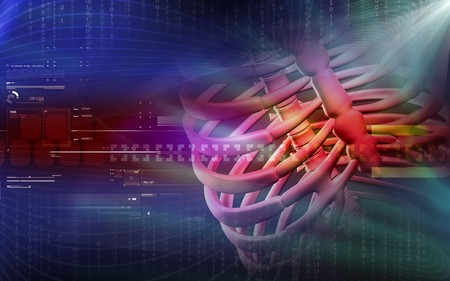 Digital illustration of  rib cage  in colour  backgroundの写真素材