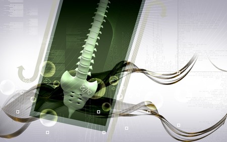 Digital illustration  of back bone in    colour background  	の写真素材