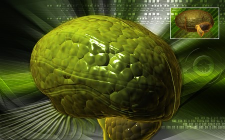 Digital illustration of  brain in colour  background 	の写真素材