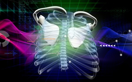 Digital illustration  of collar bone in    colour background  	の写真素材