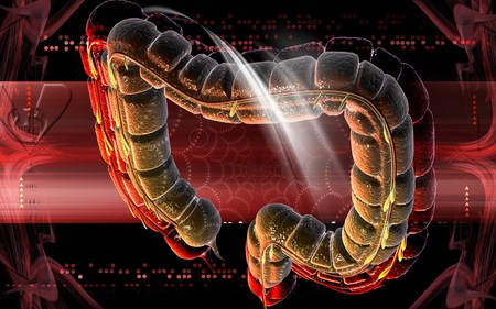 Digital illustration of large intestine in colour background 	の写真素材