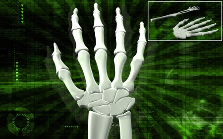 Digital illustration of hand bone in colour background 	の写真素材