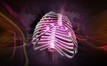 Digital illustration of  rib cage  in colour  background	の写真素材
