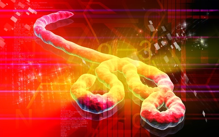 Digital illustration of Ebola virus in   colour background  	の写真素材