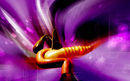 Digital illustration of pancreas  in colour background 	の写真素材