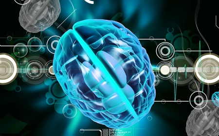 Digital illustration of  brain in colour  background 	の写真素材