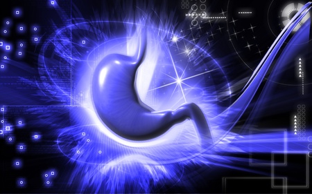 Digital illustration of  stomach  in colour  background 	の写真素材