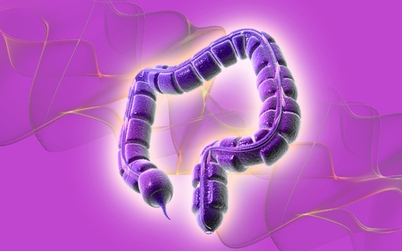 Digital illustration of large intestine in colour background 	の写真素材