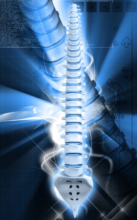 Digital  illustration  of back bone in    colour background  	の写真素材