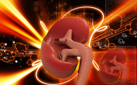 Digital illustration of kidney in colour background 	の写真素材