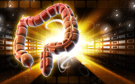 Digital illustration of large intestine in colour background 	