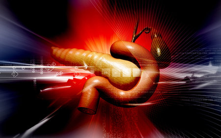 Digital illustration of pancreas  in colour background 	の写真素材