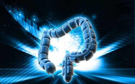 Digital illustration of large intestine in colour background 	の写真素材