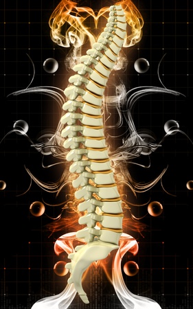 Digital  illustration  of back bone in    colour background  	の写真素材