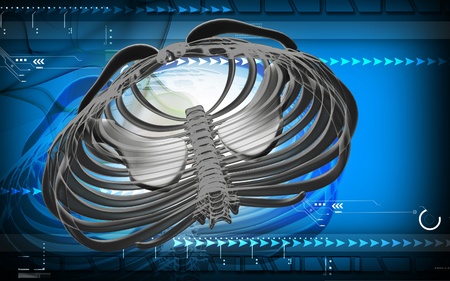 Digital illustration  of collar bone in    colour background  	の写真素材