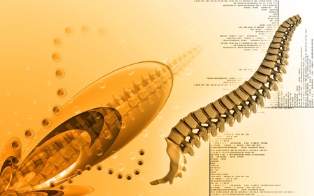 Digital  illustration  of back bone in    colour background  	の写真素材