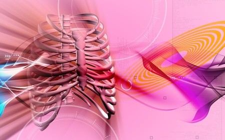 Digital illustration of  rib cage  in colour  background	の写真素材