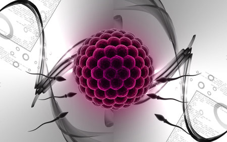 Digital illustration of Sperm and Egg  in colour background 	