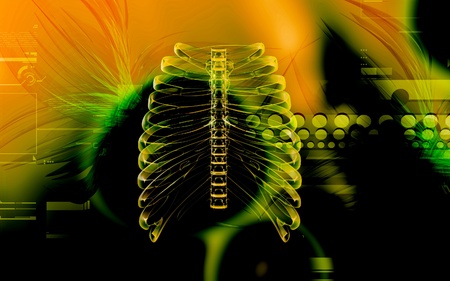Digital illustration of  rib cage  in colour  background	の写真素材