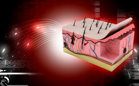 Digital illustration of Skin in colour backgroundの写真素材