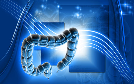 Digital illustration of large intestine in colour background 	