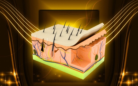 Digital illustration of Skin in colour backgroundの写真素材