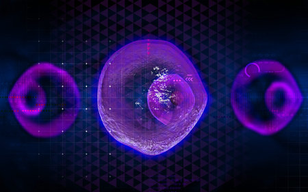 Digital illustration of  ovum cell in colour  background	