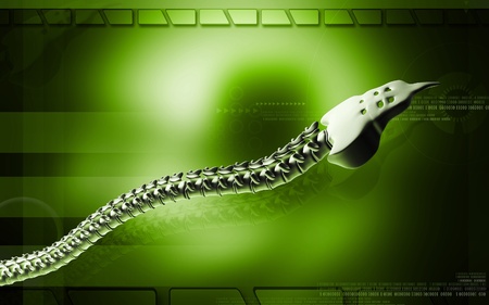 Digital illustration  of back bone in    colour background  	の写真素材