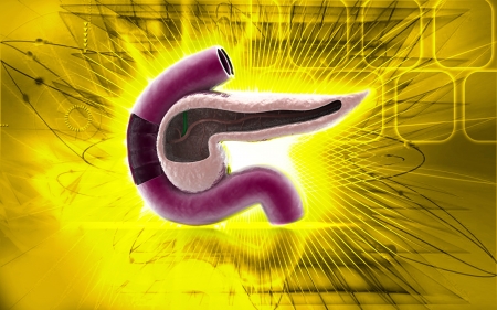Digital illustration of pancreas  in colour background 	の写真素材
