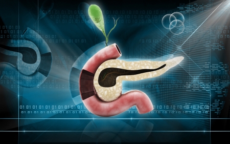 Digital illustration of pancreas  in colour background 	の写真素材