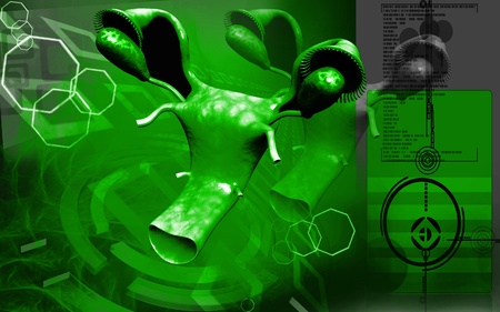 Digital illustration overies and uterus in colour background 	の写真素材